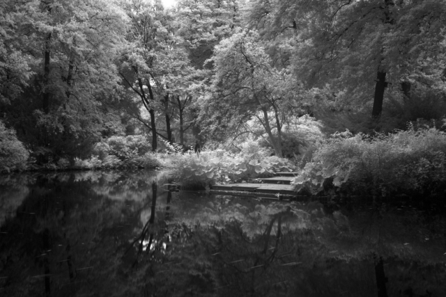 27 August 2015, Berlin, Tiergarten